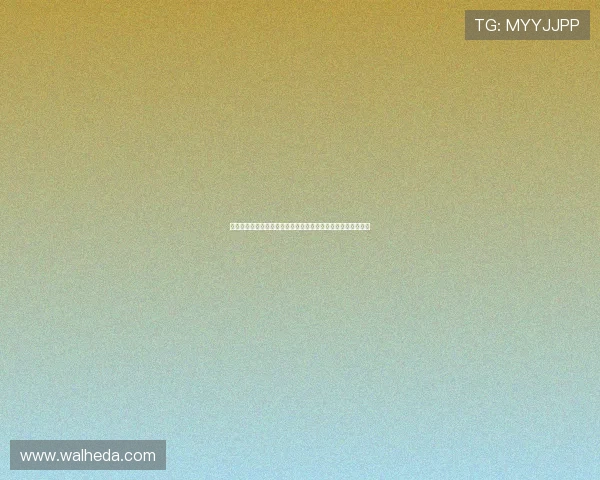 竞博体育用户评价与口碑分析:真实用户体验助你做出明智选择