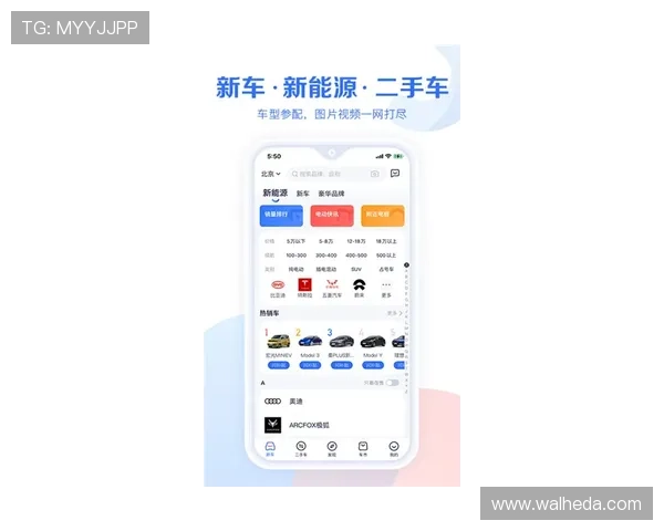 欧亿体育平台技术保障与安全措施全面揭秘确保用户资金与信息安全