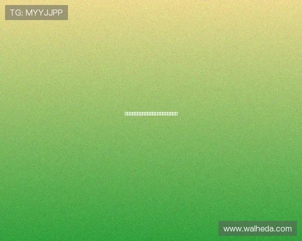 沙特对阵西班牙比赛中门将是谁详细介绍与分析