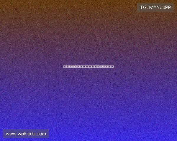 开云体育官网登录入口安全性分析,保障用户个人信息与账户安全的实用技巧